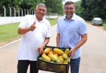 Produção cresce e renda de famílias aumenta após pavimentação de ramais realizada por Wilson Lima