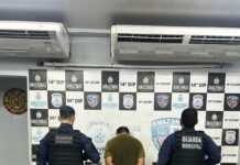 Guarda Municipal de Manaus prende indivíduo por tráfico de drogas e resgata gavião ferido