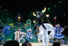 Festival de Parintins 2026: Boi Caprichoso abre primeira noite celebrando Parintins e as raízes de seu povo