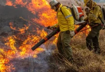 Governo repassa R$ 337 milhões para combate a incêndios e desmatamento
