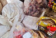 Visa Manaus interdita supermercado na zona Leste por alimentos descongelados e infestação de insetos