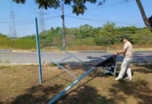 Prefeitura de Manaus remove publicidade irregular em área pública no bairro Parque 10 de Novembro