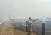 Corpo de Bombeiros Militar do Amazonas atua em uma ocorrência de incêndio florestal na BR-319
