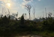 Após denúncias, MPAM ajuíza ação civil pública ambiental por incêndios florestais em Manicoré