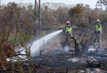 Amazonas pede aeronaves ao governo federal para reforçar combate aos incêndios