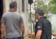 Homem que ateou fogo em área de mata, no Careiro da Várzea é preso pela PC