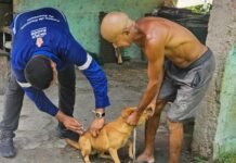 Equipes da prefeitura já vacinaram mais de 2,3 mil cães e gatos contra raiva na zona rural terrestre