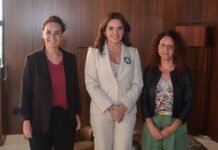 Alessandra Campelo apresenta desafios eleitorais do Amazonas a representantes da União Europeia