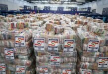 Governo do Amazonas divulga boletim sobre a estiagem, nesta sexta-feira (30/10) Agência Amazonas