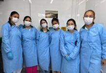 Estufa de baixo custo: Laboratório Maker incentiva projetos de C&T na EE Belarmino Marreiro Agência Amazonas