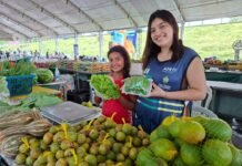 ADS divulga calendário das Feiras de Produtos Regionais desta semana Agência Amazonas