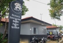 Governo do Amazonas mantém funcionamento de serviços essenciais durante ponto facultativo e feriado de Finados Agência Amazonas