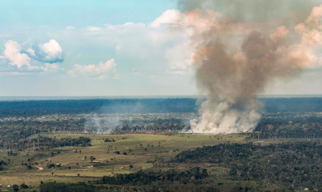 Incêndios avançam sobre o oeste do Pará e deixam ar insalubre 13/10/2026 - Acre - Fogo, queimadas, incêndios florestais e fumaça ameaçam a floresta amazônica no Acre. Entre Cruzeiro do Sul e Marechal Thaumaturgo, a paisagem revela a pressão sobre a vegetação nativa e a biodiversidade. Foto: Rafa Neddermeyer/Agência Brasil