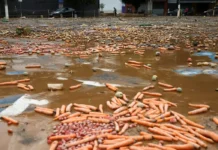 Chuvas provocam alagamentos e deslizamentos pelo interior paulista Chuvas em São Paulo