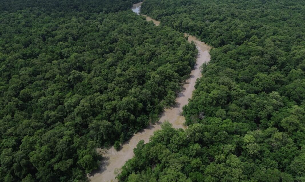 Desmatamento cai 41,8% na Amazônia e 23,8% no Cerrado em um ano Bragança (PA), 12/06/2025 – Vista de um braço do Rio Caeté em área de manguezal na Reserva Extrativista Marinha de Caeté-Taperaçu monitorada pelo projeto Mangues da Amazônia. Foto: Fernando Frazão/Agência Brasil