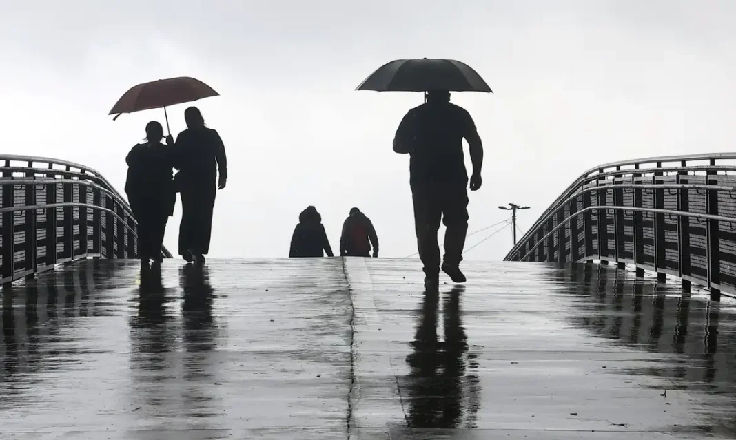 Cidade de São Paulo terá mais chuvas nesta sexta-feira São Paulo (SP), 09/09/2026. - Pessoas na rua durante tarde com muita chuva na região do Ibirapuera. Foto: Paulo Pinto/Agencia Brasil