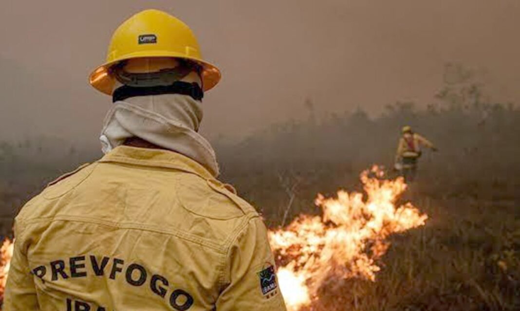 Focos de incêndio no Amazonas diminuem após ação de força-tarefa Agente do Ibama faz trabalha de contenção de queimadas e incêndio no Amazonas. Foto: Ibama/Divulgação