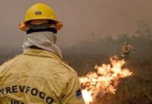 Focos de incêndio no Amazonas diminuem após ação de força-tarefa Agente do Ibama faz trabalha de contenção de queimadas e incêndio no Amazonas. Foto: Ibama/Divulgação
