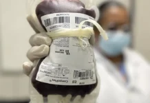 Saúde aprova protocolo para tratar crianças com hemofilia A 13/06/2023 - Brasília - Dia Mundial do Doador de Sangue. Foto: Hemorio/Divulgação