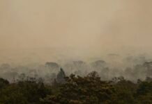 Força Nacional do SUS apoia atendimentos no Amazonas após incêndios Brasília (DF), 16/09/2024 - Grandes focos de incêndio atingem áreas do Parque Nacional de Brasília. Foto: Marcelo Camargo/Agência Brasil