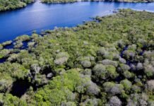 Desmatamento em áreas protegidas da Amazônia e do Cerrado tem queda Agência Brasil / EBC