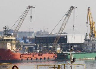 Brasil abre mercado em Bangladesh e Colômbia para pecuária Agência Brasil / EBC