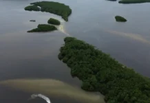 Países consideram insuficientes ações contra crise da biodiversidade Agência Brasil / EBC