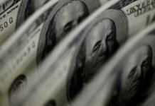 Dólar sobe 8,21%, e bolsa cai 13,88% após reeleição de Lula Agência Brasil / EBC