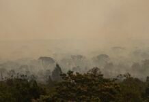 Força Nacional do SUS apoia atendimentos no Amazonas após incêndios Agência Brasil / EBC