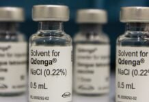 Dengue: 3 milhões de adolescentes estão com vacinação incompleta Agência Brasil / EBC