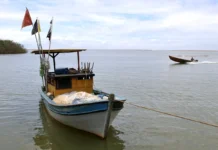 Pesca na foz do Rio Doce volta a ser liberada depois de dez anos Agência Brasil / EBC