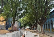 Oitizeiros da Ferreira Pena são todos incorporados à requalificação da obra da prefeitura