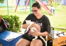 Unidade móvel da Prefeitura de Manaus realiza 280 castrações de cães e gatos na zona Leste Prefeitura de Manaus